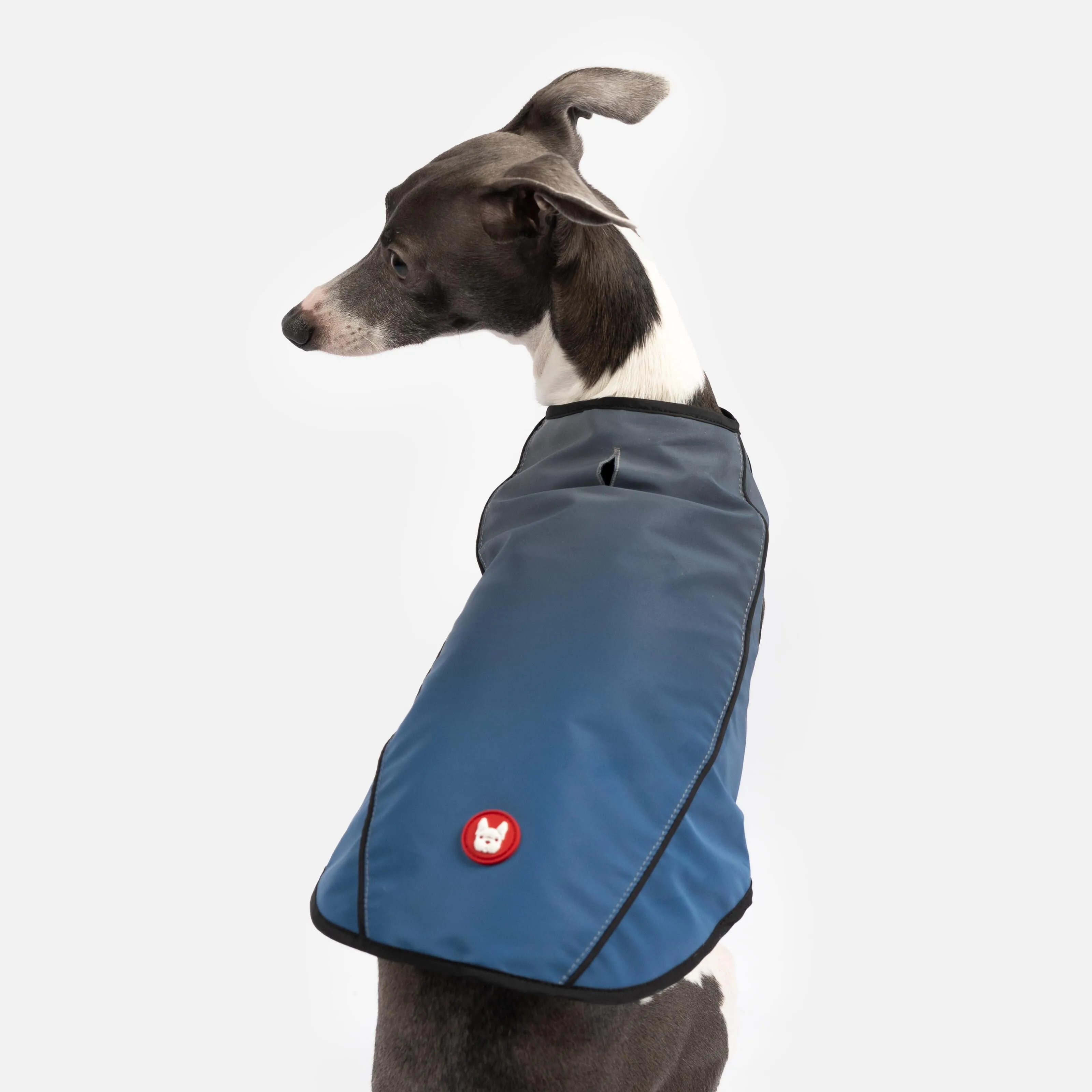 ARLO High-Visibility Dog Vest – Reflective, Water-Repellent, Breathable Mesh | Safe & Stylish Outdoor Wear