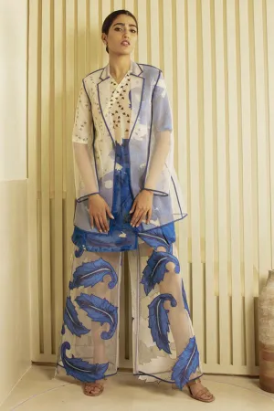 Chanderi Jacket & Palazzo Set
