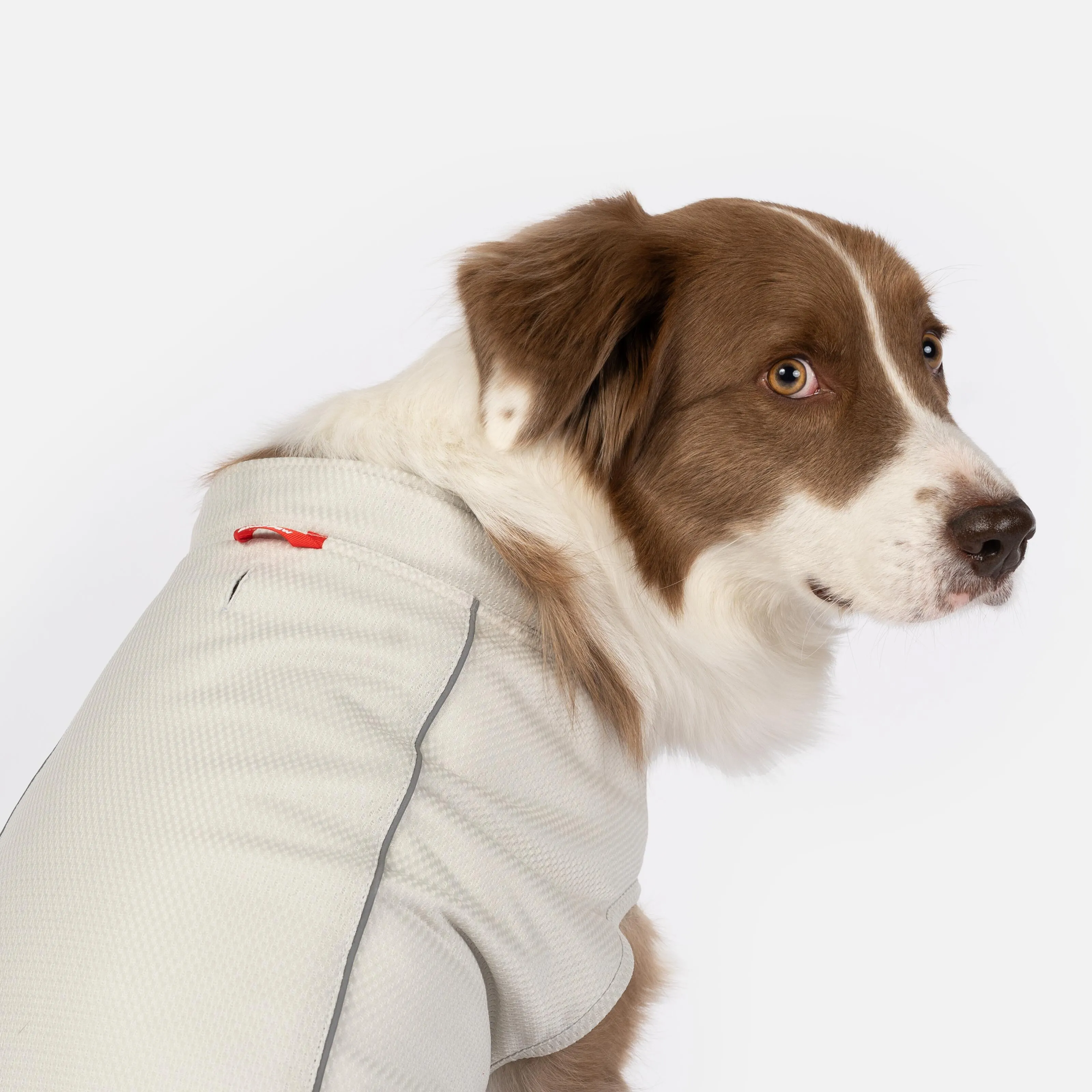 Cooper Dog UV Protector and Cooling Top – Breathable, UV Protection, Reflective, Comfortable | Outdoor Gear for Pets