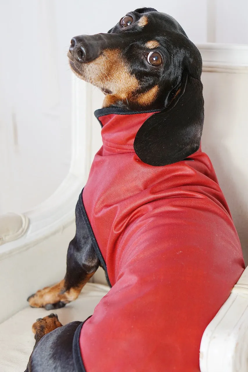 Dog raincoat Friedrich