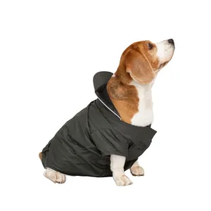 Forest Green Raincoat