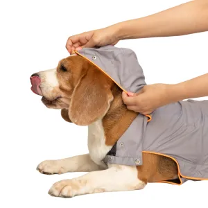 Neon Piping Grey Raincoat